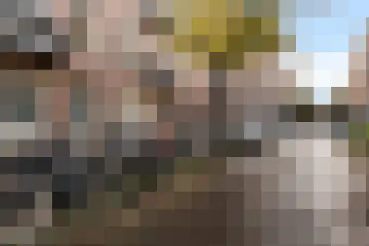 Pieter Aertszstraat 113 H Amsterdam thumbnail 35