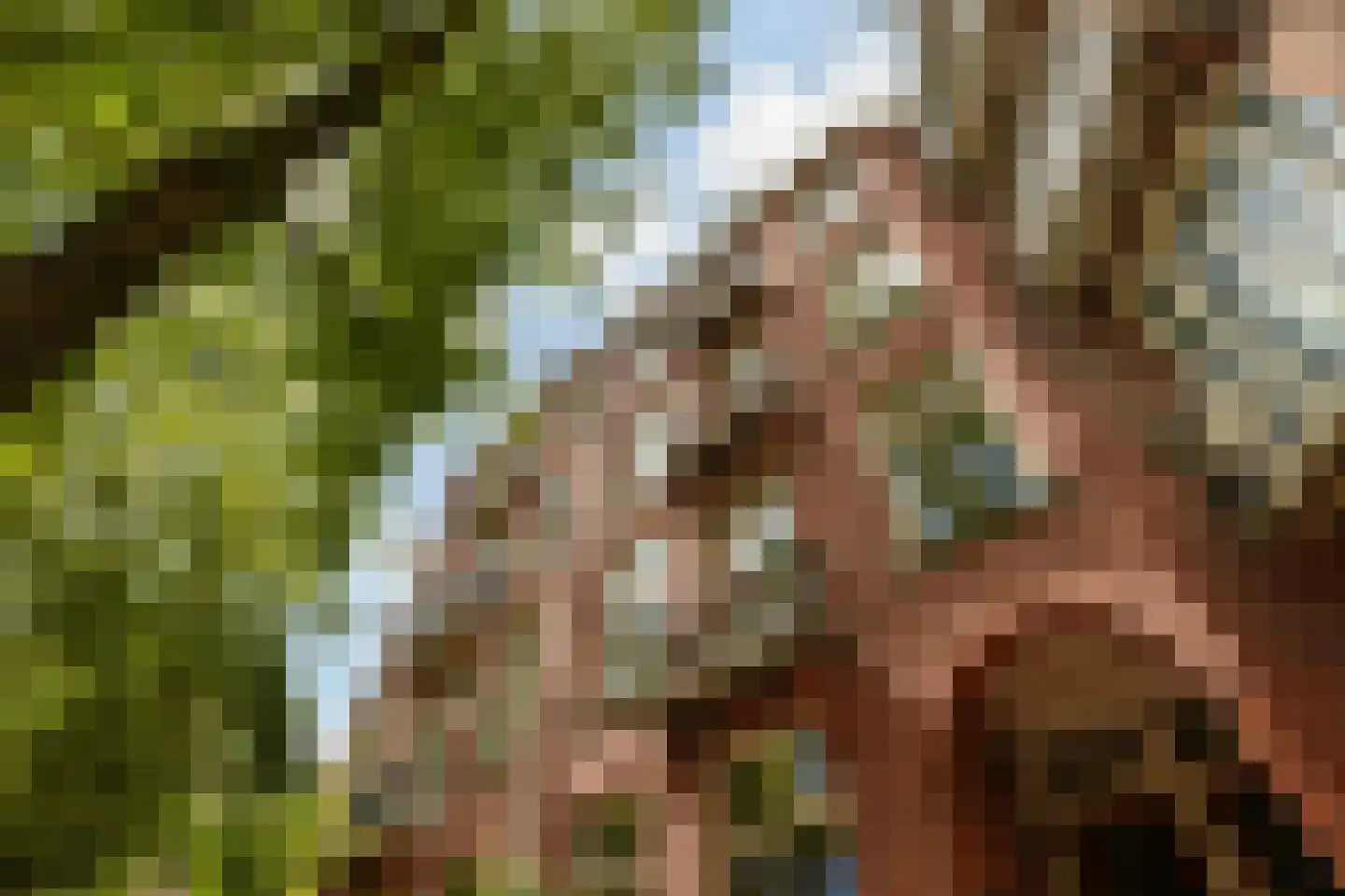 Pieter Aertszstraat 27 1 Amsterdam thumbnail 21