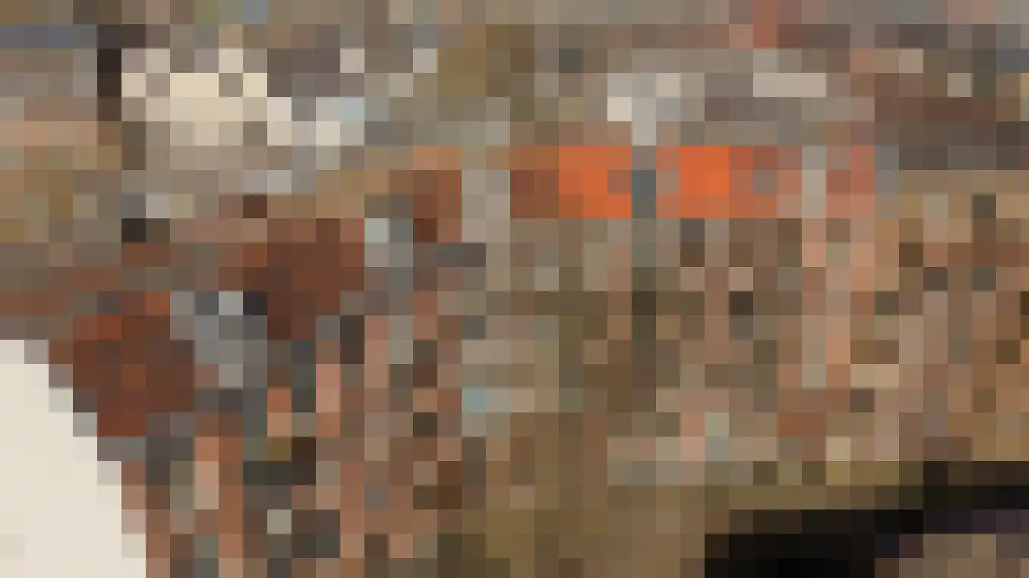 Pieter Aertszstraat 29 3 Amsterdam thumbnail 45