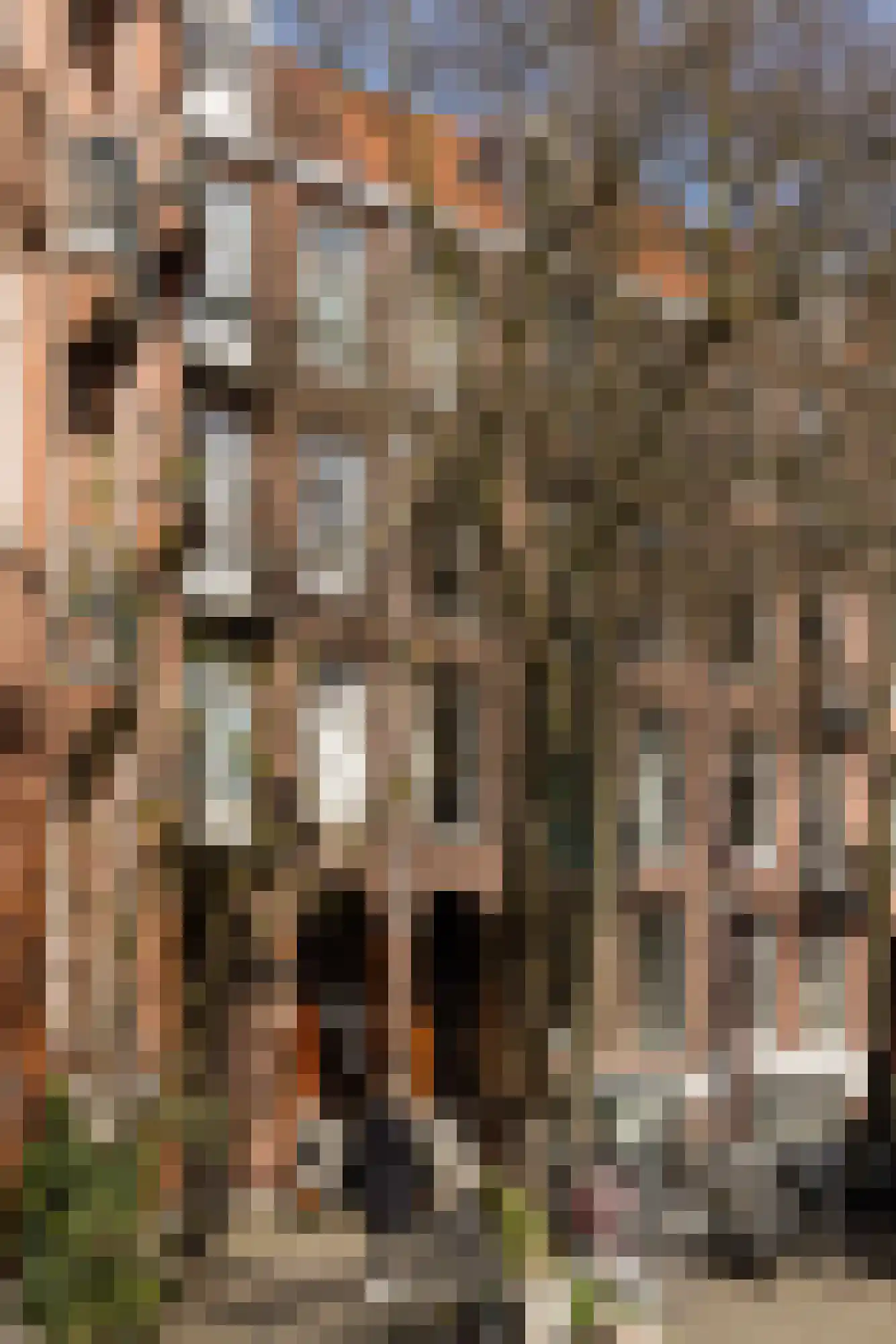 Pieter Aertszstraat 29 3 Amsterdam thumbnail 46