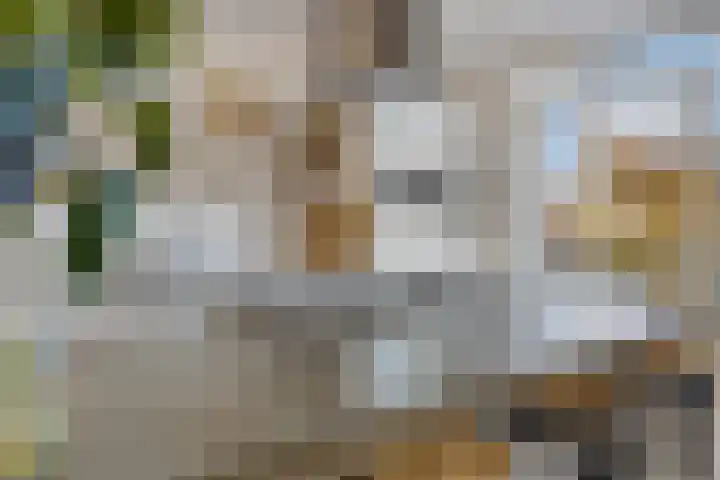 Pieter Aertszstraat 33 3 Amsterdam thumbnail 16