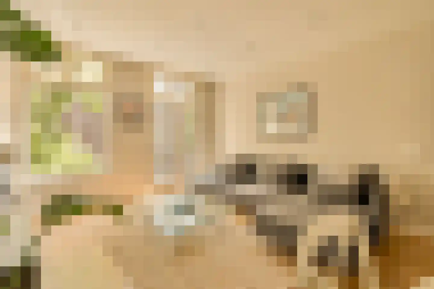 Pieter Aertszstraat 63 1 Amsterdam thumbnail 5