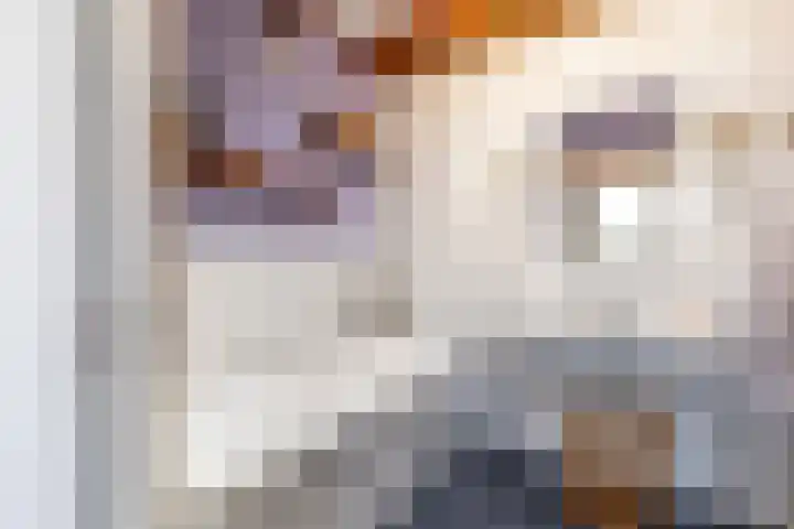Pieter Aertszstraat 67 H Amsterdam thumbnail 30