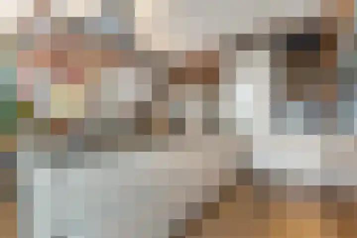 Pieter Aertszstraat 81 H Amsterdam thumbnail 18