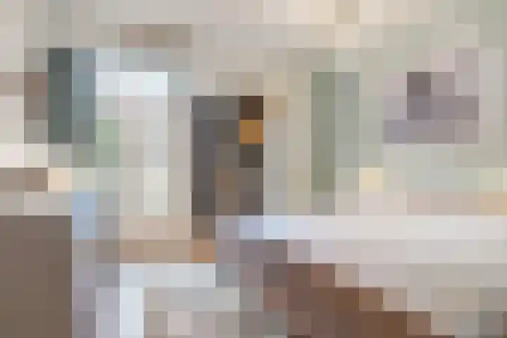 Pieter Aertszstraat 81 H Amsterdam thumbnail 34