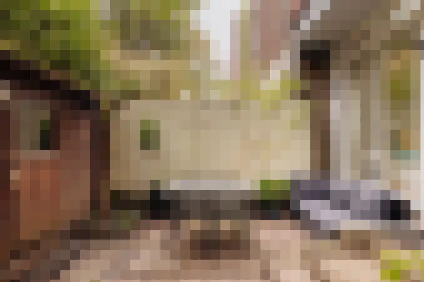 Pieter Aertszstraat 83 H Amsterdam thumbnail 4