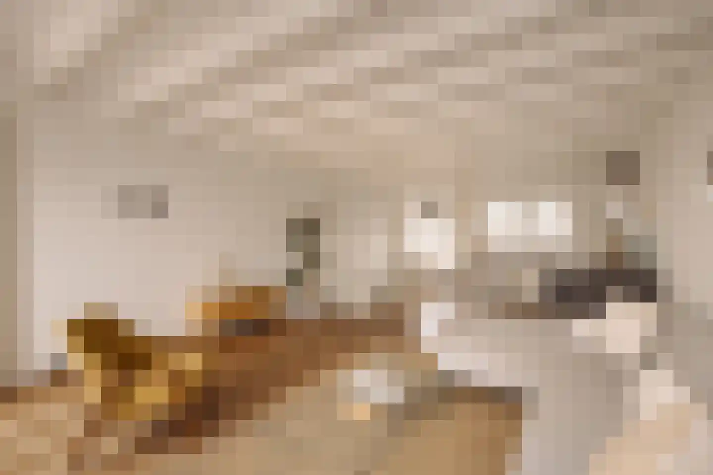 Pieter Aertszstraat 88 H Amsterdam thumbnail 11