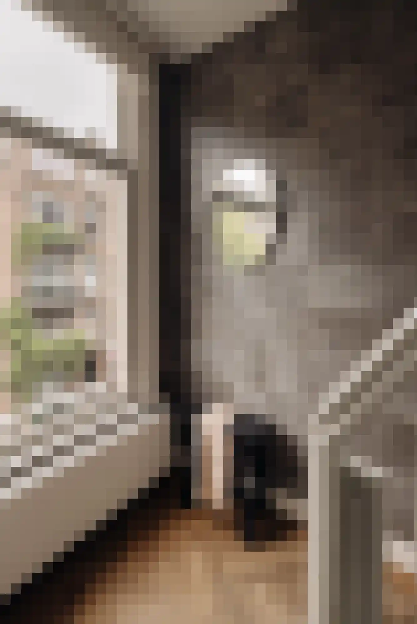 Pieter Aertszstraat 88 H Amsterdam thumbnail 23