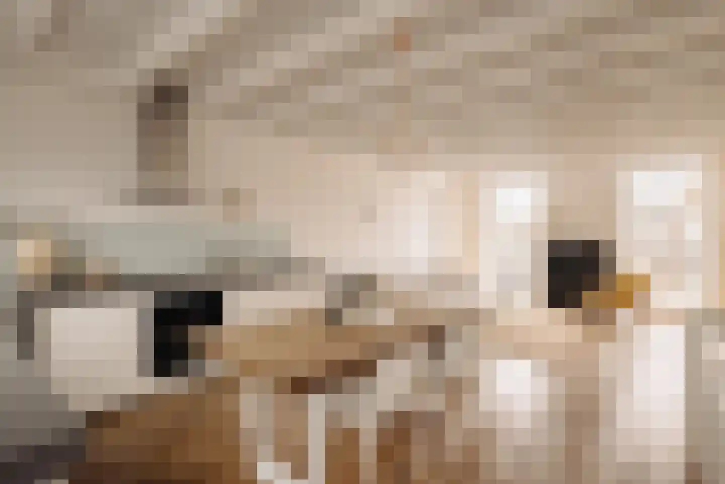 Pieter Aertszstraat 88 H Amsterdam thumbnail 8
