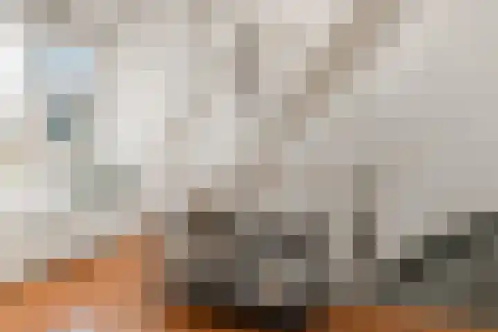 Pieter Aertszstraat 90 4 Amsterdam thumbnail 15