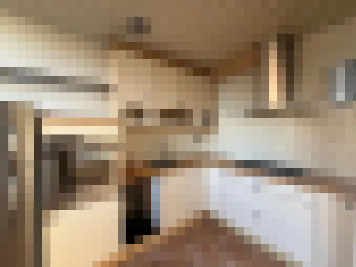 Pieter Appelplein 10 Monnickendam thumbnail 12