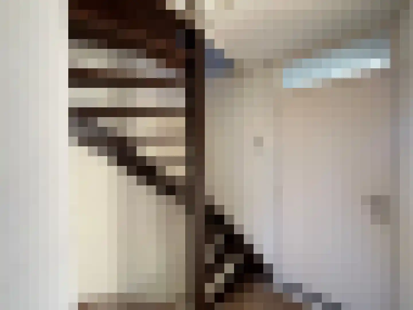 Pieter Appelplein 10 Monnickendam thumbnail 30