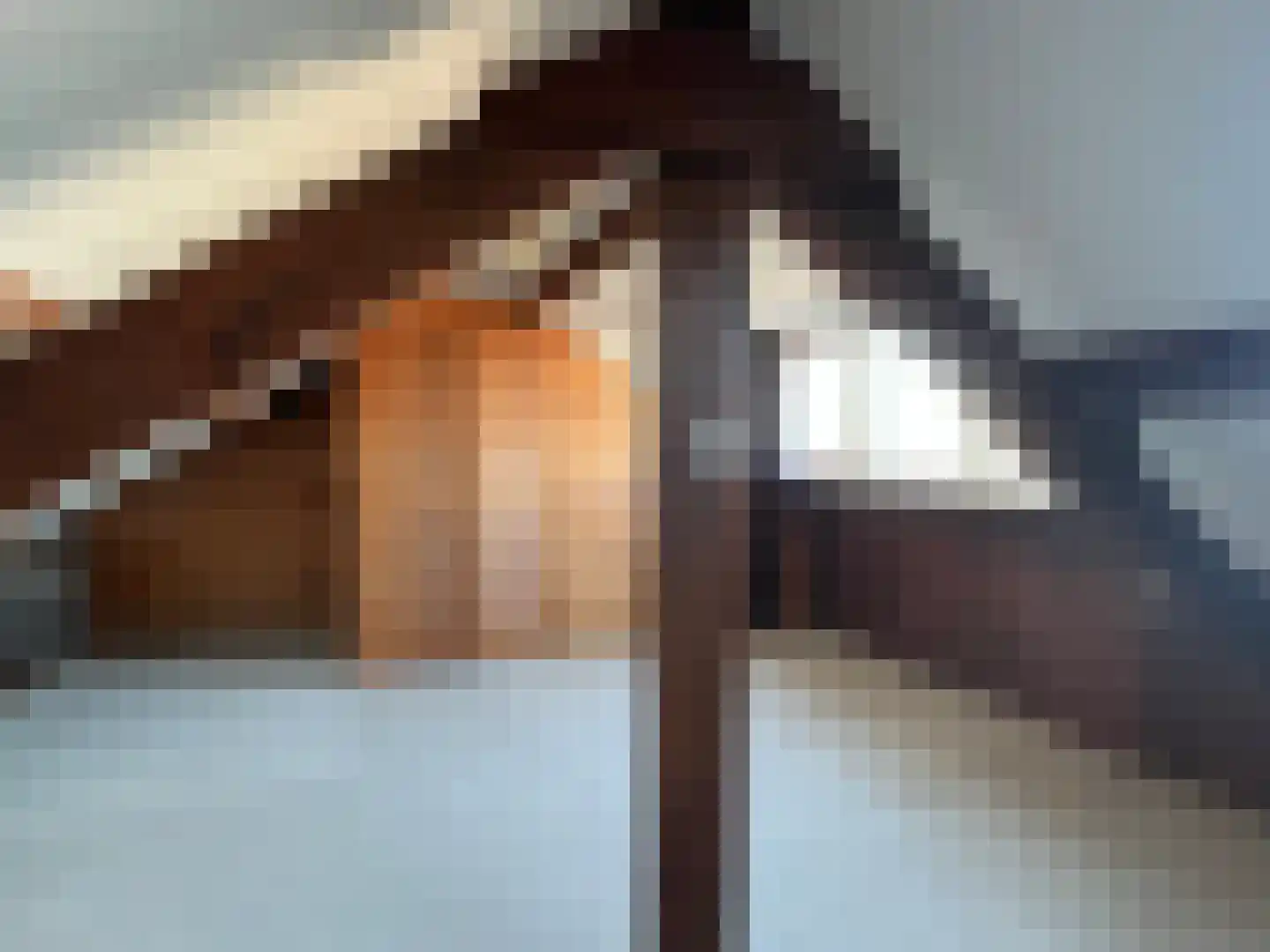 Pieter Appelplein 10 Monnickendam thumbnail 32