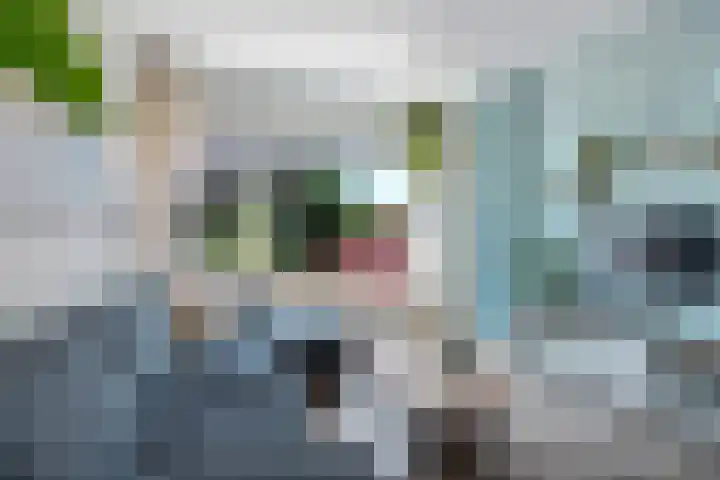Pieter Appelplein 41 Monnickendam thumbnail 15