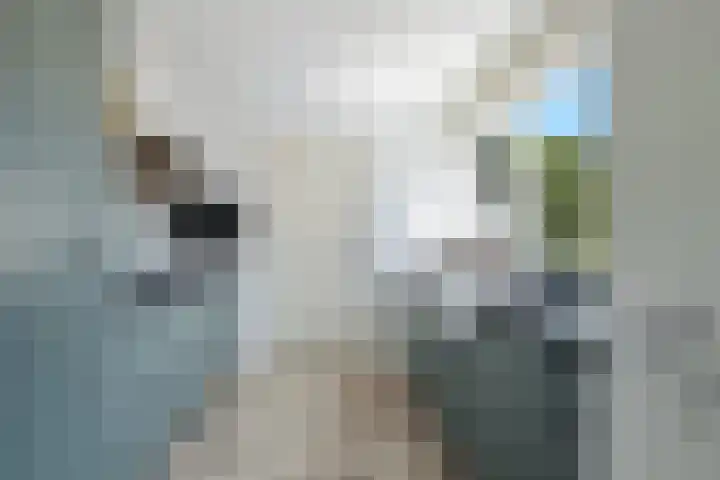 Pieter Appelplein 41 Monnickendam thumbnail 16