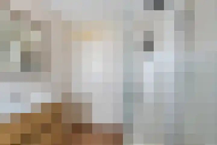 Pieter Appelplein 41 Monnickendam thumbnail 32