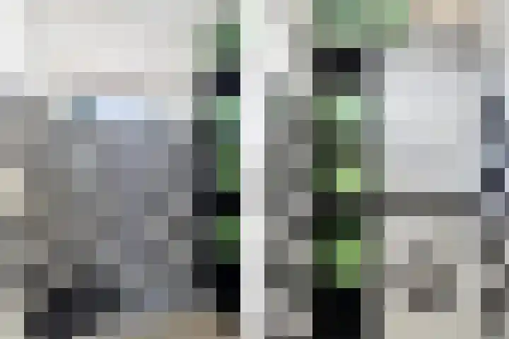 Pieter Appelplein 41 Monnickendam thumbnail 35