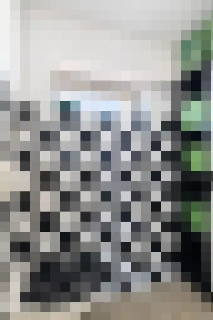 Pieter Appelplein 41 Monnickendam thumbnail 37