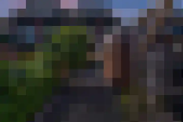 Pieter Appelplein 41 Monnickendam thumbnail 5