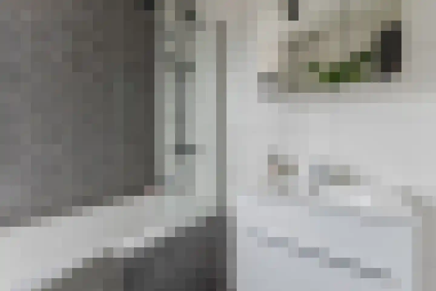 Pieter Basstraat 5 Zaandam thumbnail 26