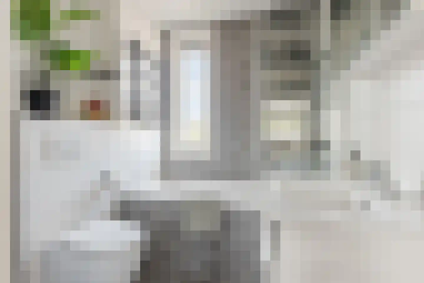 Pieter Basstraat 5 Zaandam thumbnail 4