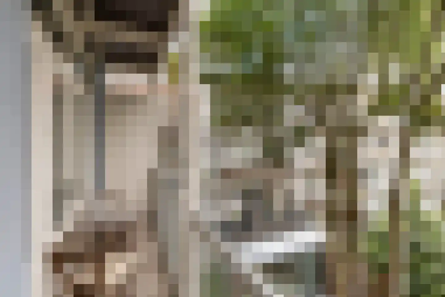 Pieter Baststraat 11 2 Amsterdam thumbnail 4