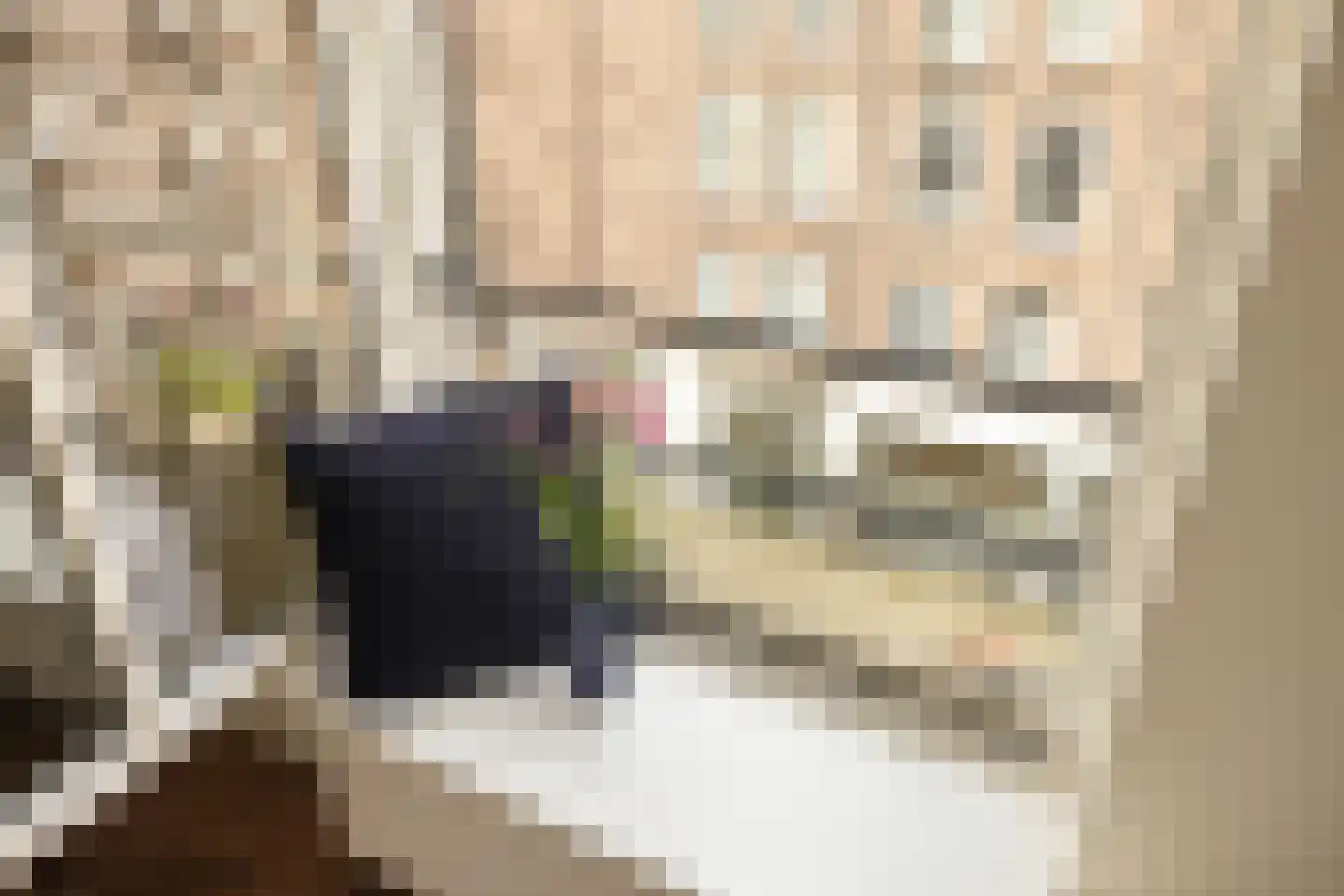 Pieter Baststraat 5 3 Amsterdam thumbnail 5