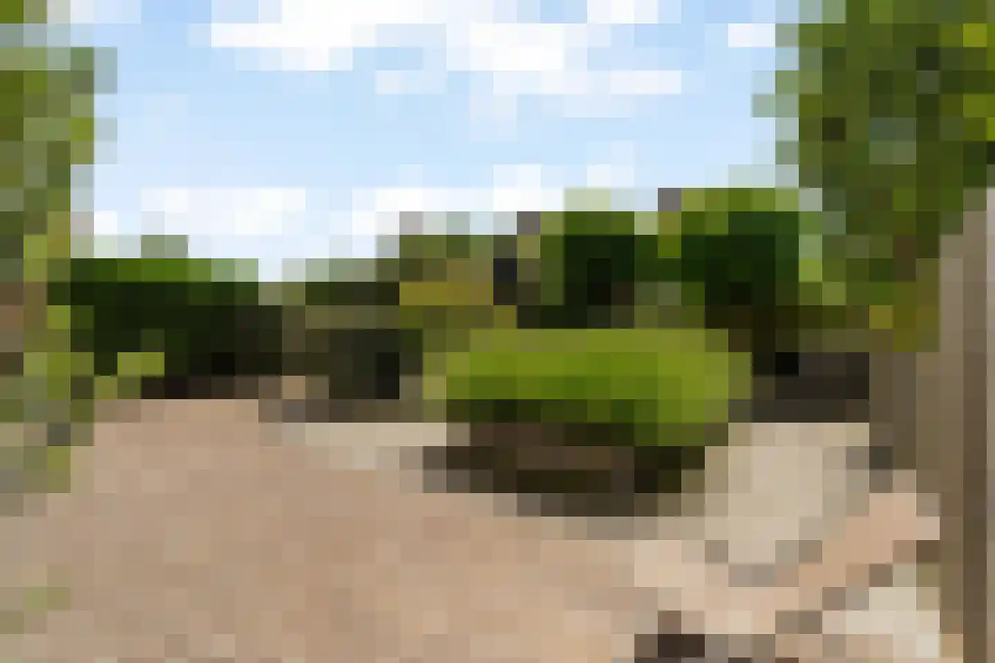 Pieter Bedijnstraat 43 D Noordwijk thumbnail 11