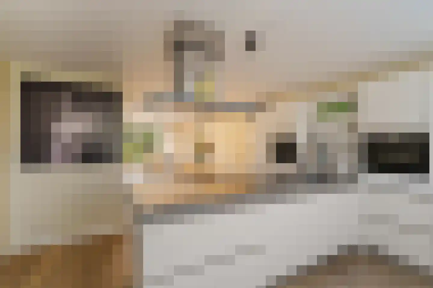 Pieter Bedijnstraat 43 D Noordwijk thumbnail 17