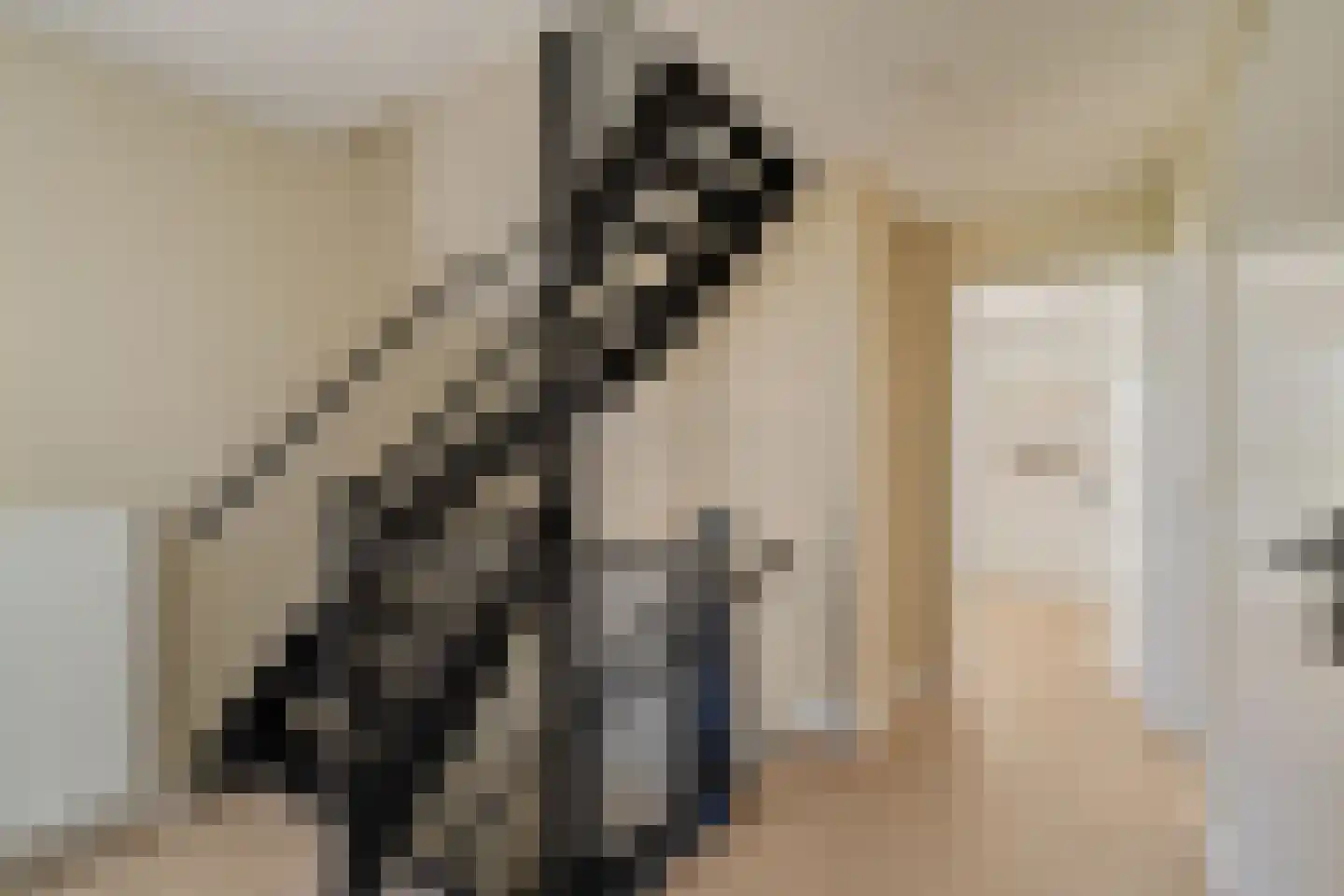 Pieter Bedijnstraat 43 D Noordwijk thumbnail 29