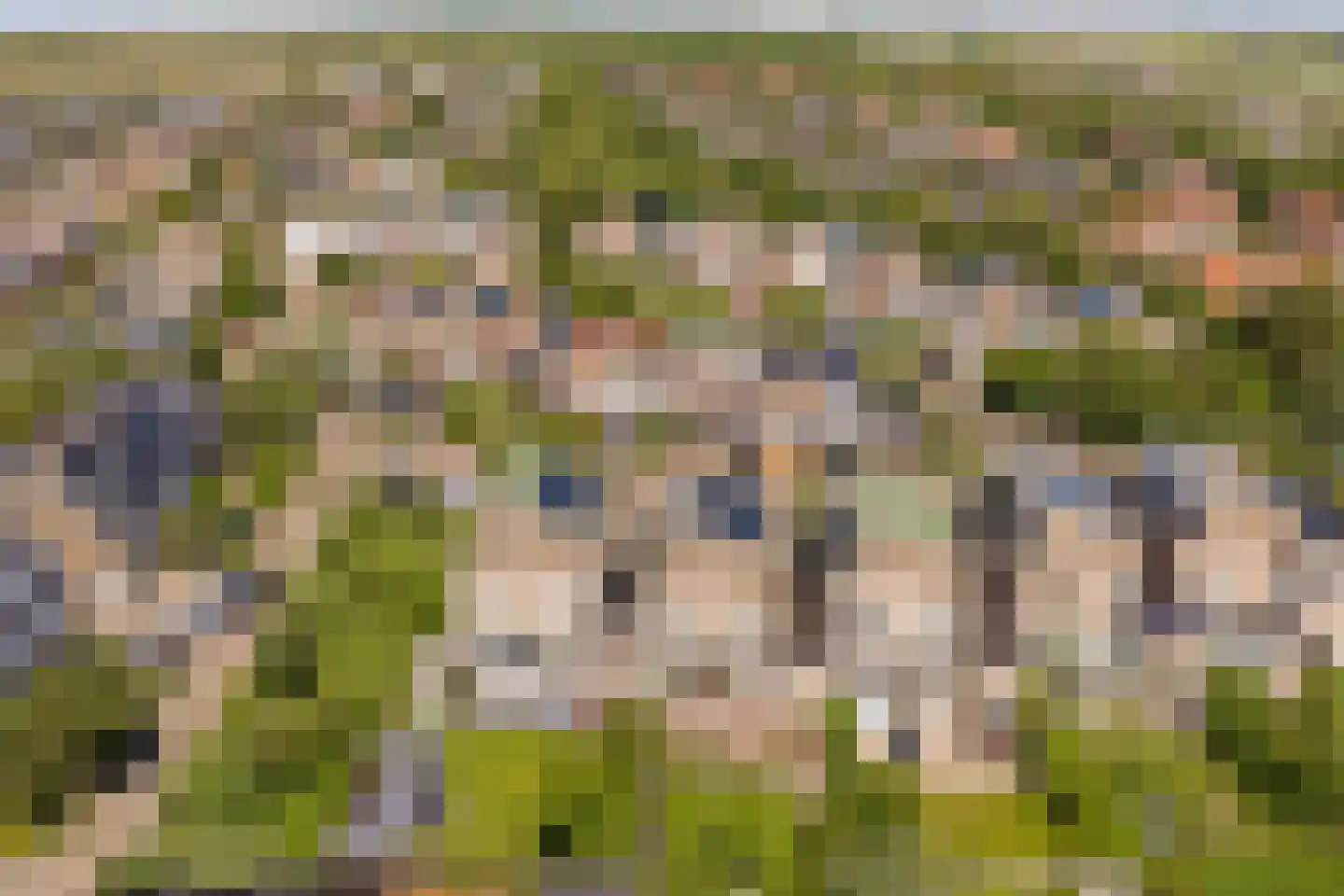 Pieter Bedijnstraat 43 D Noordwijk thumbnail 38