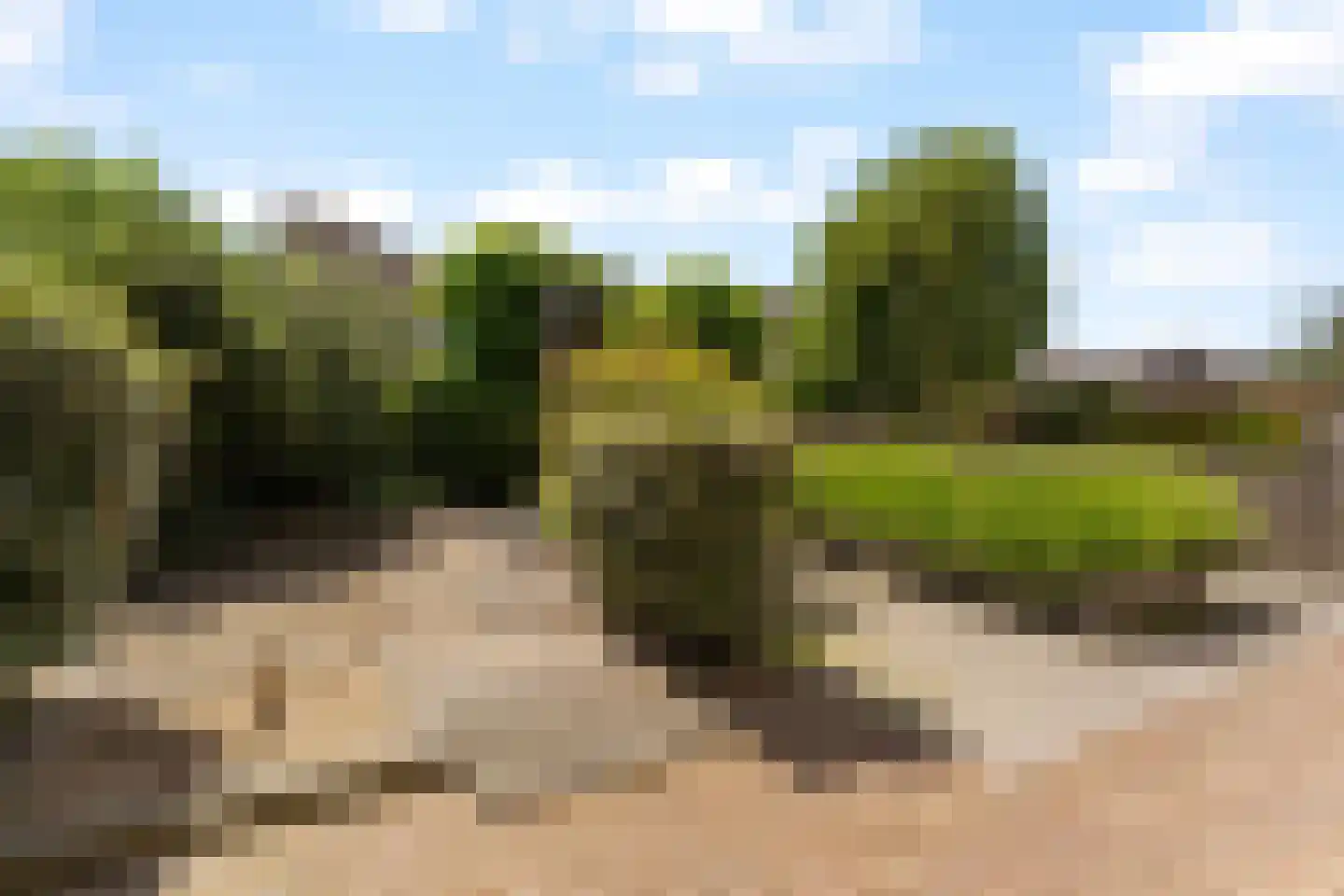 Pieter Bedijnstraat 43 D Noordwijk thumbnail 9