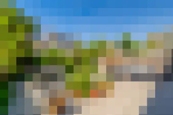 Pieter Bedijnstraat 49 Noordwijk thumbnail 4