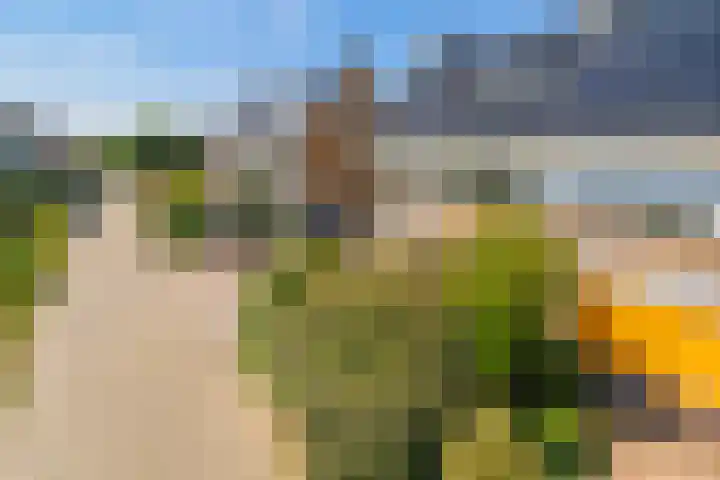 Pieter Bedijnstraat 49 Noordwijk thumbnail 47