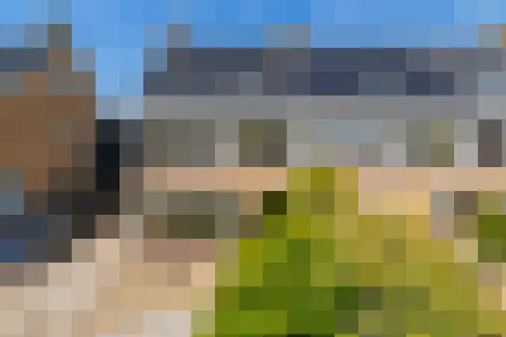 Pieter Bedijnstraat 49 Noordwijk thumbnail 5
