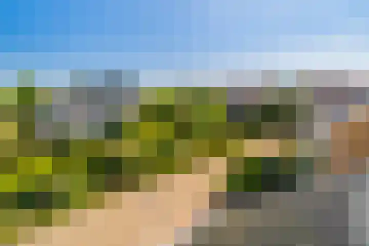 Pieter Bedijnstraat 49 Noordwijk thumbnail 50