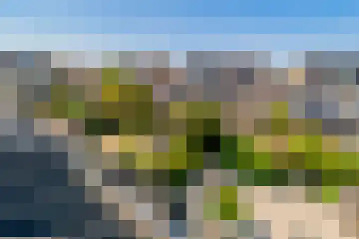 Pieter Bedijnstraat 49 Noordwijk thumbnail 51