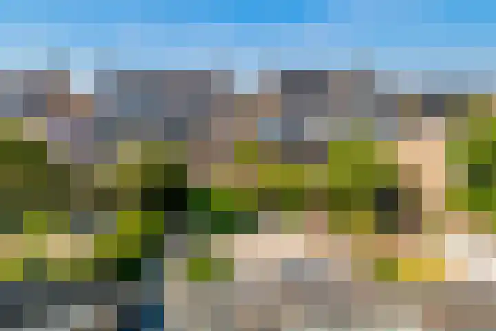 Pieter Bedijnstraat 49 Noordwijk thumbnail 52