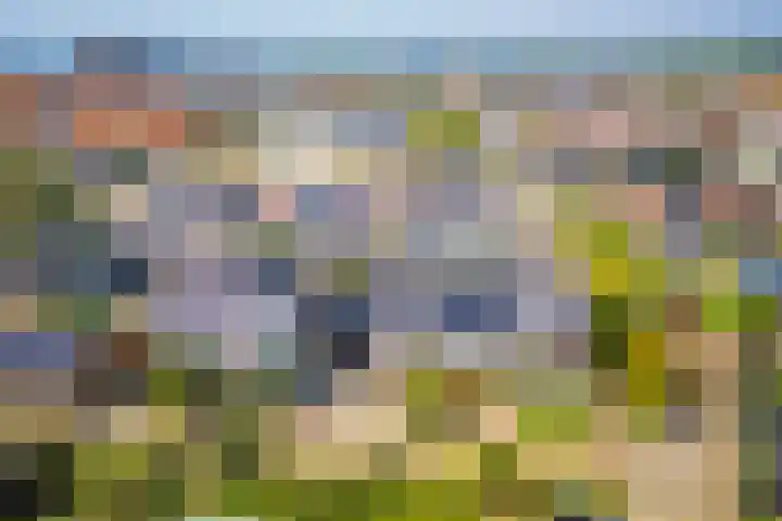 Pieter Bedijnstraat 49 Noordwijk thumbnail 55