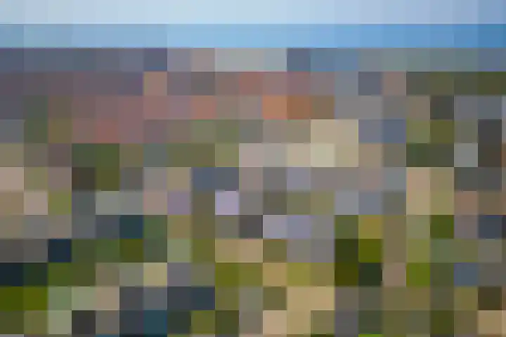 Pieter Bedijnstraat 49 Noordwijk thumbnail 56
