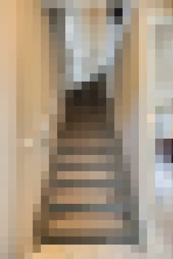 Pieter Belsstraat 56 Horst thumbnail 11