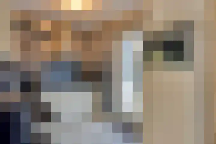 Pieter Belsstraat 56 Horst thumbnail 20