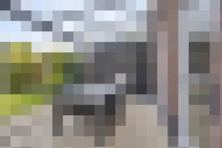 Pieter Belsstraat 56 Horst thumbnail 23