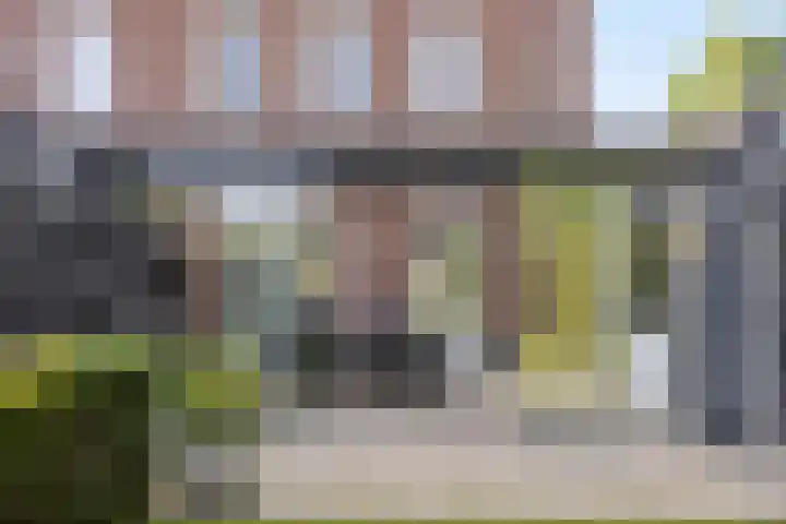 Pieter Belsstraat 56 Horst thumbnail 25