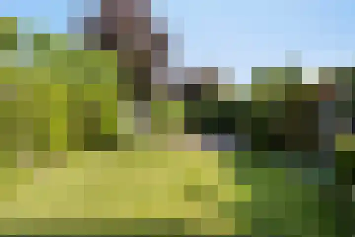 Pieter Belsstraat 56 Horst thumbnail 26