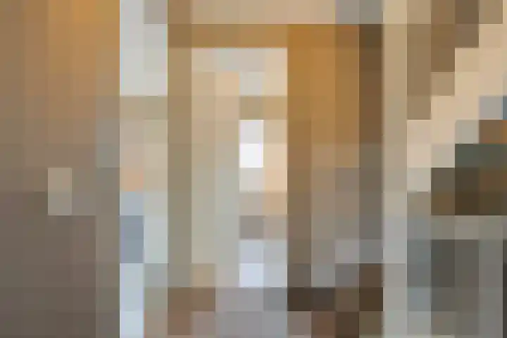 Pieter Belsstraat 56 Horst thumbnail 27