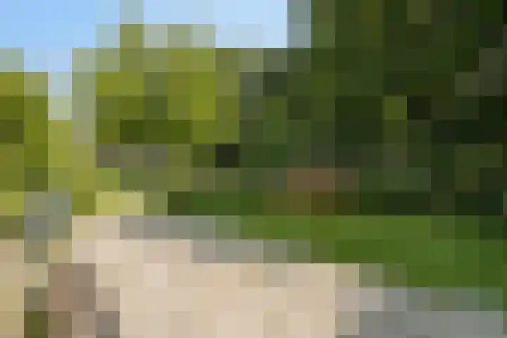 Pieter Belsstraat 56 Horst thumbnail 38