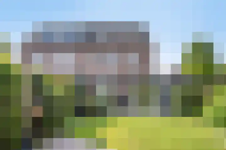 Pieter Belsstraat 56 Horst thumbnail 4
