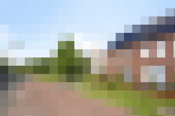 Pieter Belsstraat 56 Horst thumbnail 6
