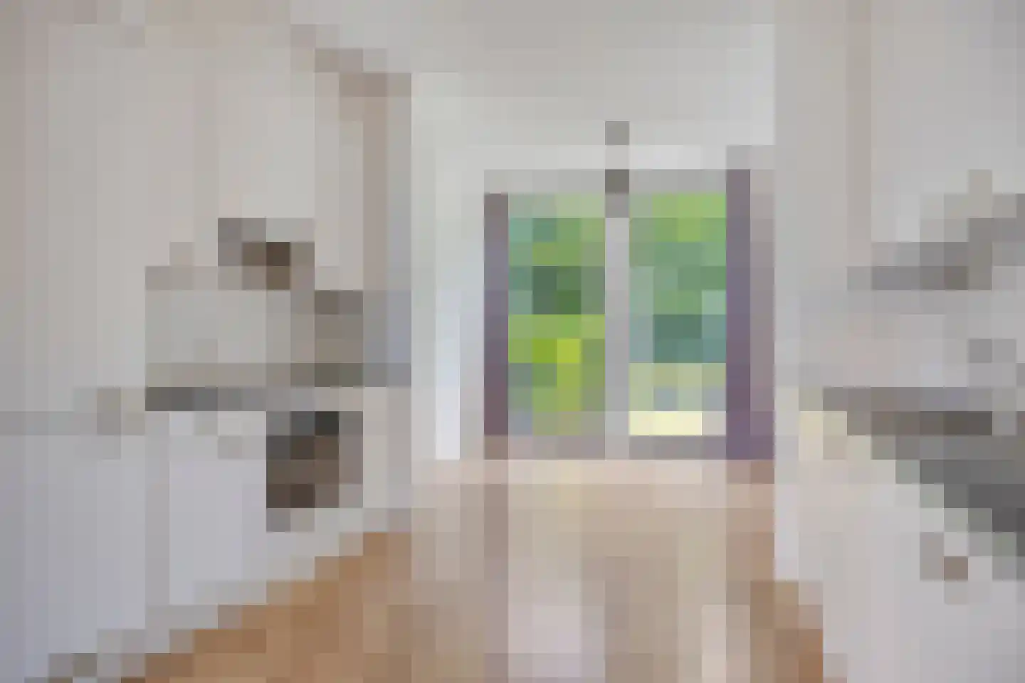 Pieter Belsstraat 82 Horst thumbnail 9